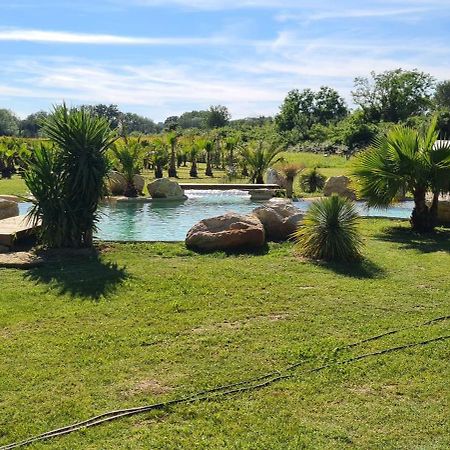 Le Mas Des Cerisiers Jacuzzi Et Sauna Inclus Pour Tous Les Logements Avignon Kültér fotó