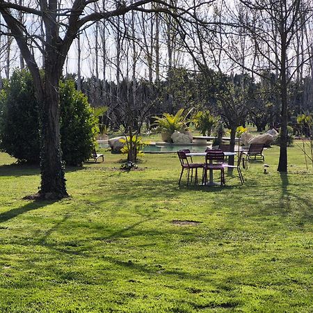 Le Mas Des Cerisiers Jacuzzi Et Sauna Inclus Pour Tous Les Logements Avignon Kültér fotó