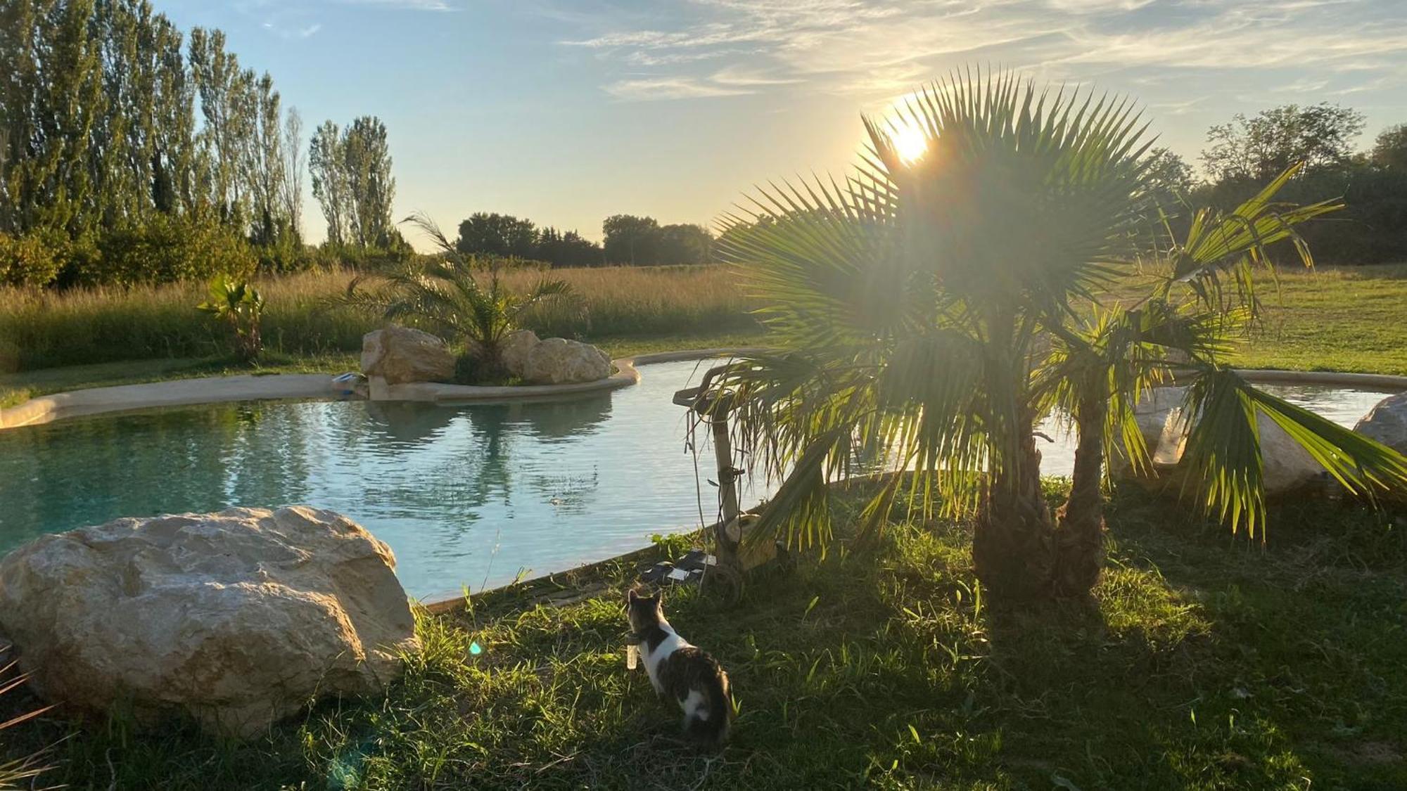 Le Mas Des Cerisiers Jacuzzi Et Sauna Inclus Pour Tous Les Logements Avignon Kültér fotó
