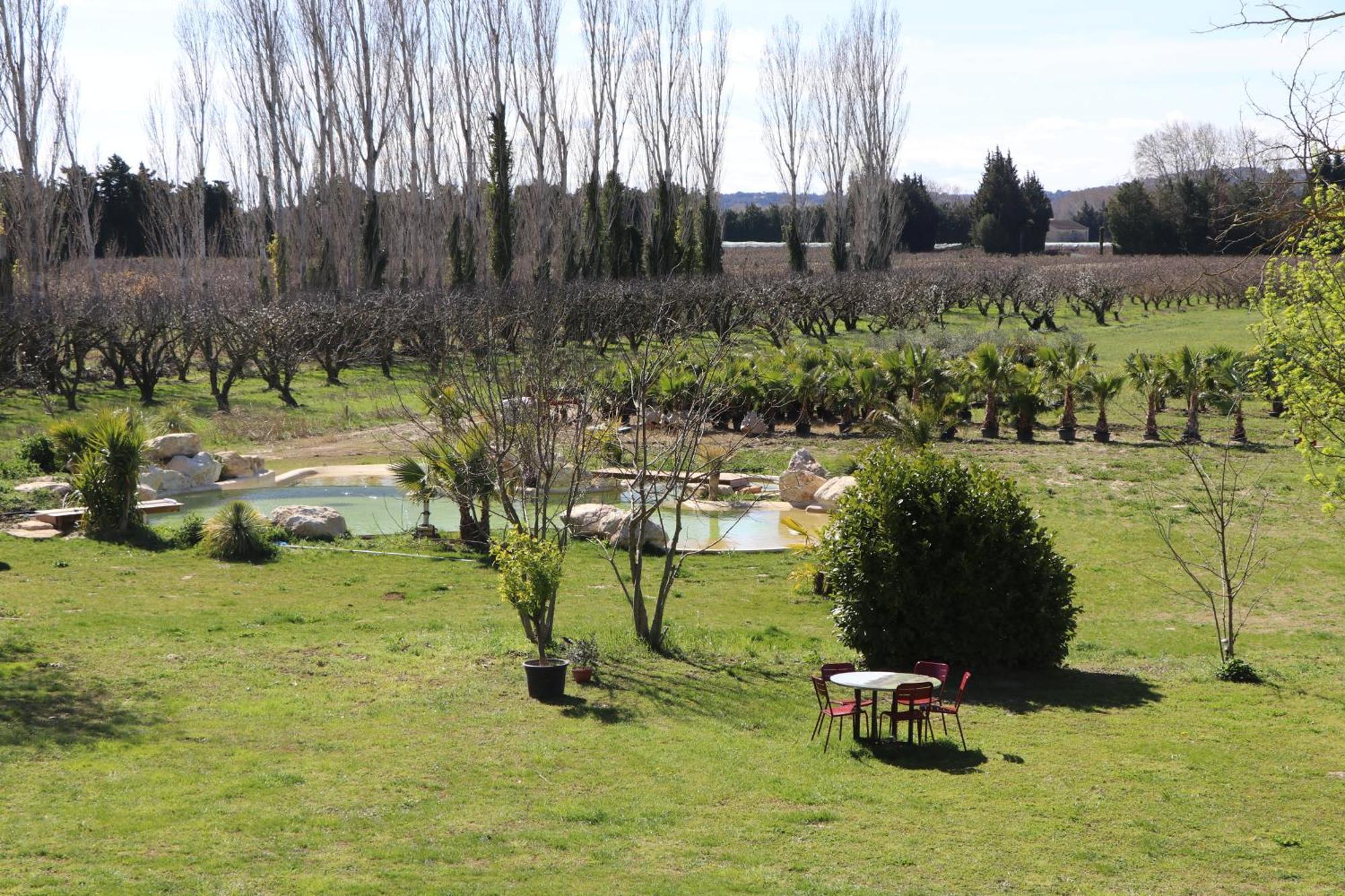 Le Mas Des Cerisiers Jacuzzi Et Sauna Inclus Pour Tous Les Logements Avignon Kültér fotó