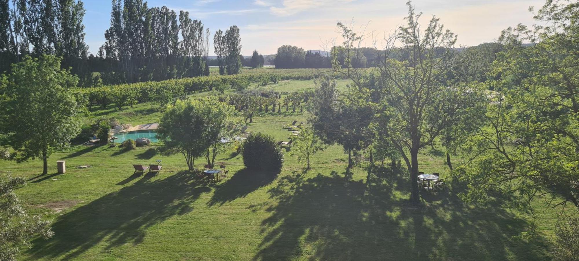 Le Mas Des Cerisiers Jacuzzi Et Sauna Inclus Pour Tous Les Logements Avignon Kültér fotó
