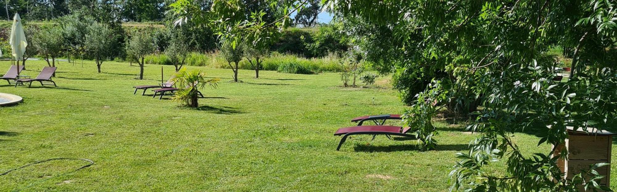 Le Mas Des Cerisiers Jacuzzi Et Sauna Inclus Pour Tous Les Logements Avignon Kültér fotó