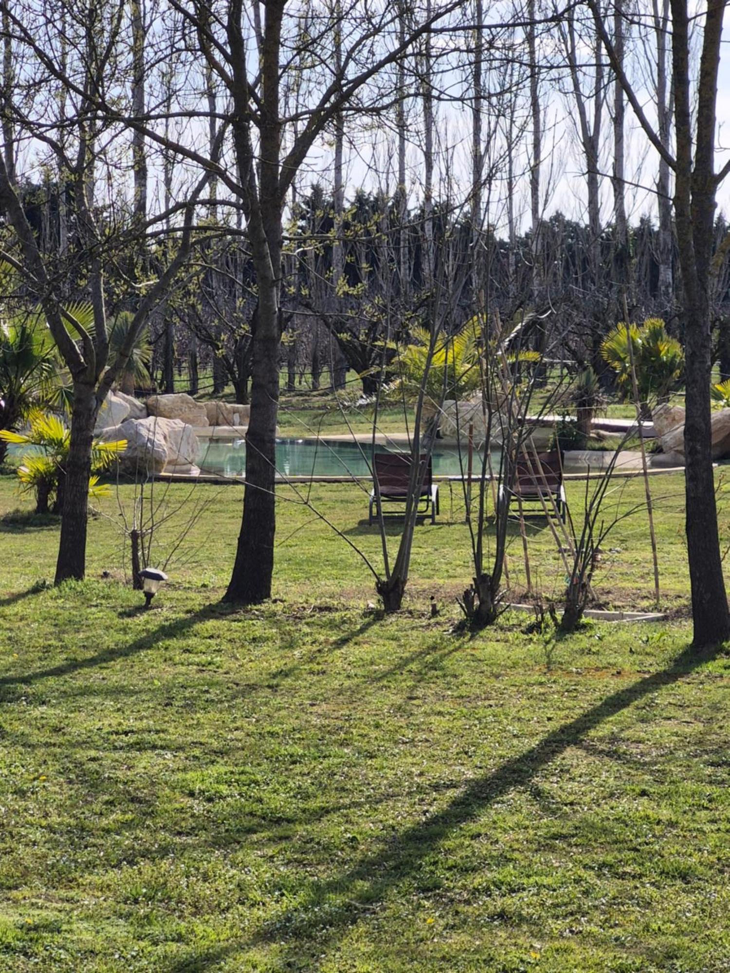 Le Mas Des Cerisiers Jacuzzi Et Sauna Inclus Pour Tous Les Logements Avignon Kültér fotó